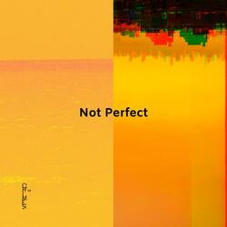 Not Perfect
