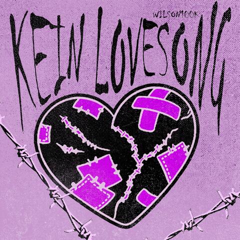 kein lovesong (oder doch?)