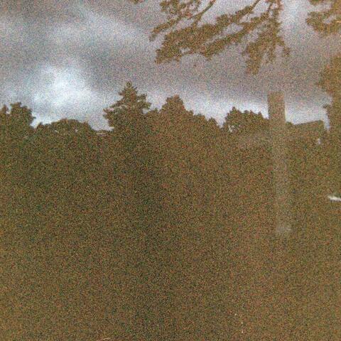 Not All the Blood of Beasts