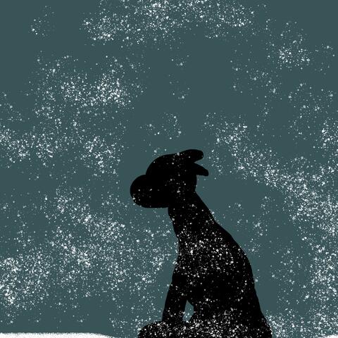 Stray dog song (Live)