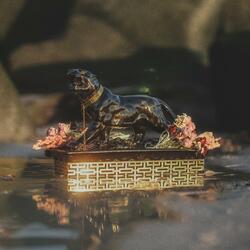 Oogway Ascends