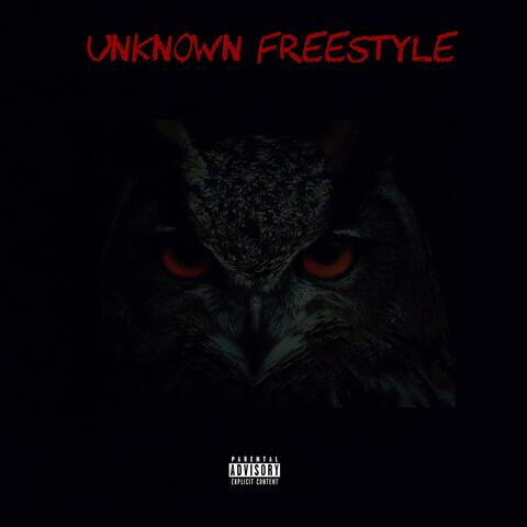 Unknown Freestyle