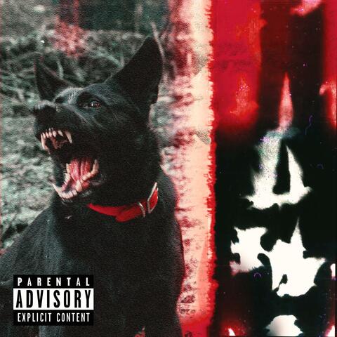BITE BACK (feat. Ariyon)
