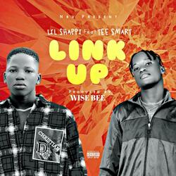 Link Up (feat. Tee Smart)