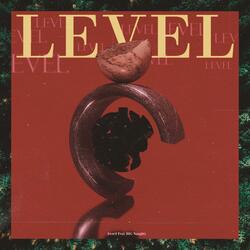 Level (feat. BIG Naughty)