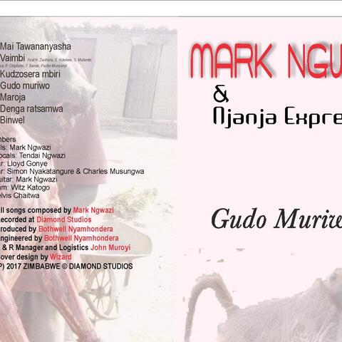 Gudo Muriwo