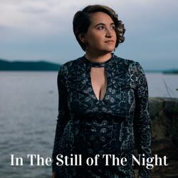 In The Still of The Night