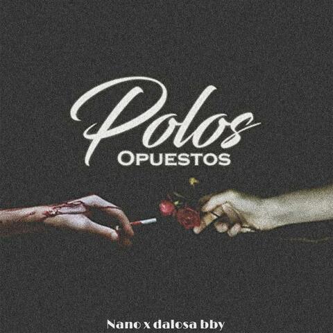 Polos Opuestos