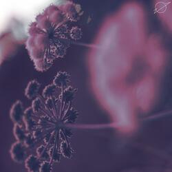 waited for you