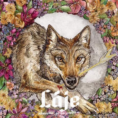 Vracíme se za světlem