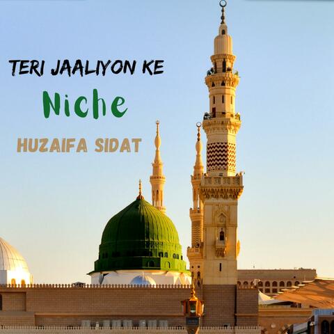 Teri Jaaliyon Ke Niche