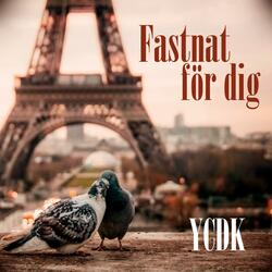 Fastnat för dig