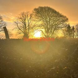 Make It Your Best Day