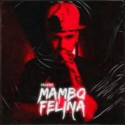 MAMBO FELINA