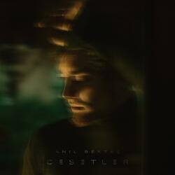 Cesetler