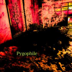 Pygophile