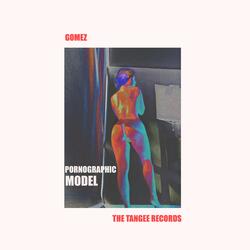 PORNOGRAPHIC MODEL