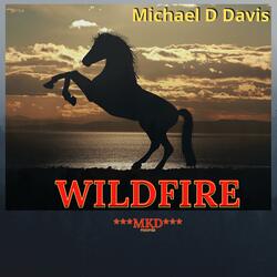 Wildfire