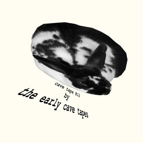 cave tape #12