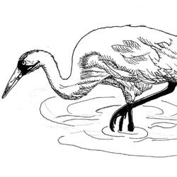 Crane (feat. Misa)