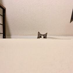 Don't Forget To Get Some Sun Today