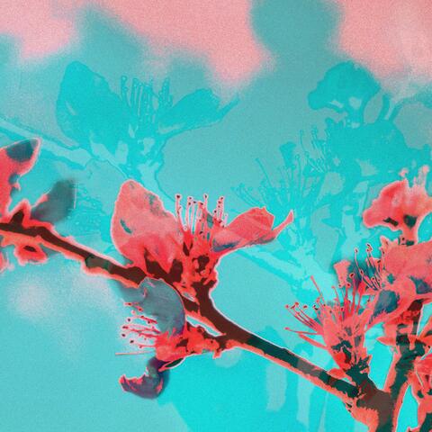 Will Not Change (feat. Cole in the Clouds)
