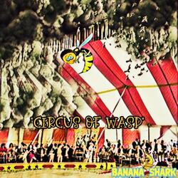 Circus of WASP