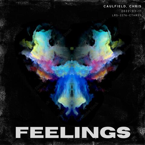 Feelings