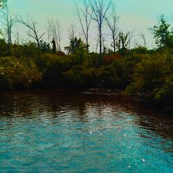 Beside The Waters Edge