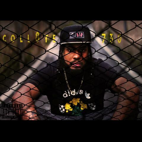 coll8te 730