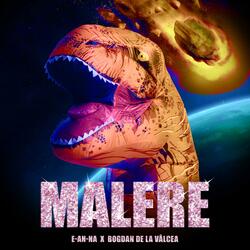Malere (feat. Bogdan de la Vâlcea)
