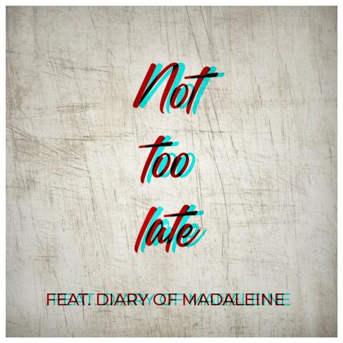 Not Too Late (feat. Diary of Madaleine)