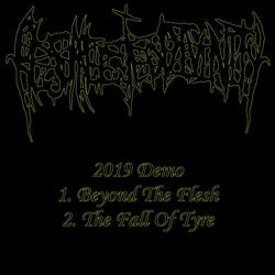 Beyond The Flesh