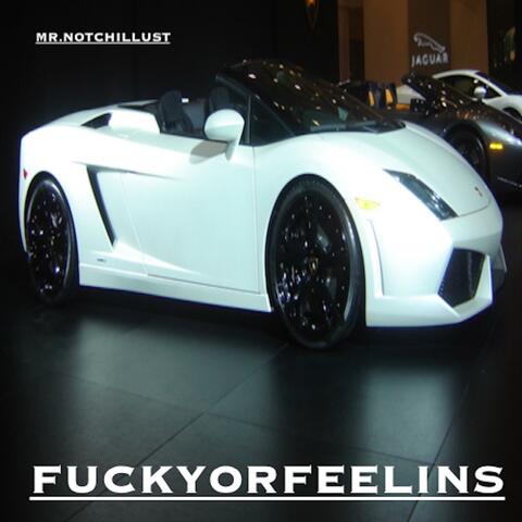 FUCKYORFEELINS