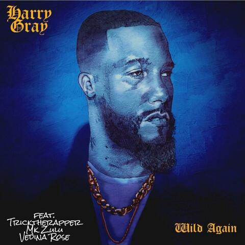 Wild Again (feat. Tricktherapper, Mk Zulu & Vedina Rose)