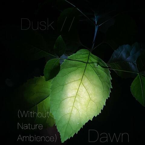 Dusk // Dawn (Without Nature Ambience)