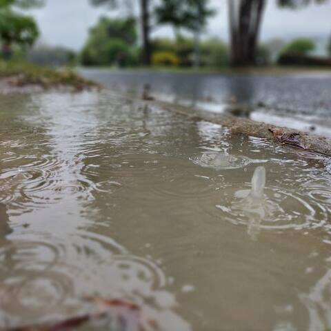 Rain