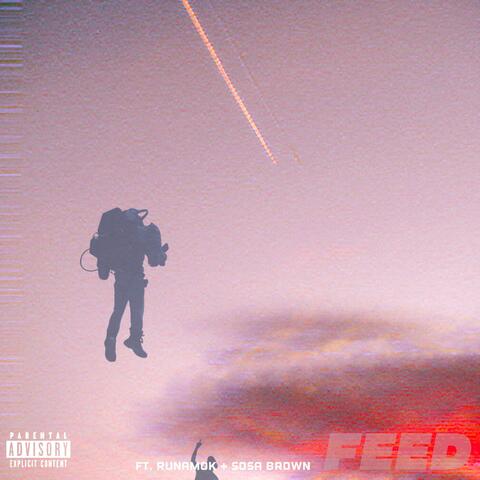 FEED (feat. RUNAMOK & Sosa Brown)