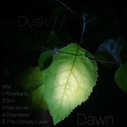 Dusk // Dawn