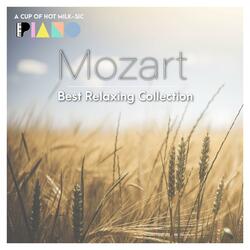 Piano Concerto No. 21 in C Major, K. 467 (2nd Movement)