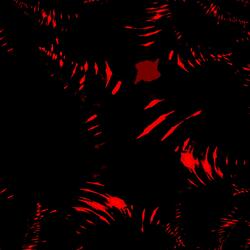 The Ossaturing Machine