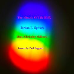 The Miracle Of Life RMX (feat. Christine McHoes & Paul Baggott)