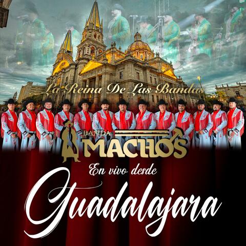 En Vivo Desde Guadalajara
