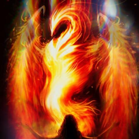 Out of the Ashes