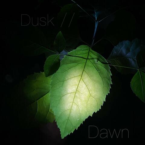 Dusk // Dawn