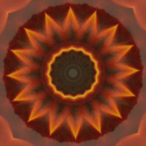Regenerate