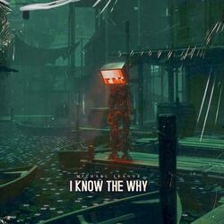 I Know The Why