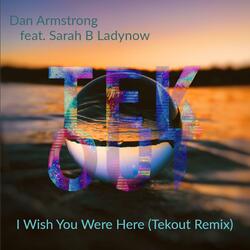 I Wish You Were Here (feat. SarahB LadyBnow)