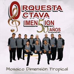Mosaico Dimensión Tropical