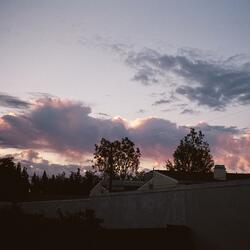 Dreaming